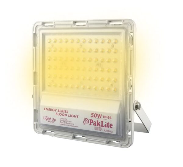 PAKLITE 100W FLOOD LIGHT - Image 2